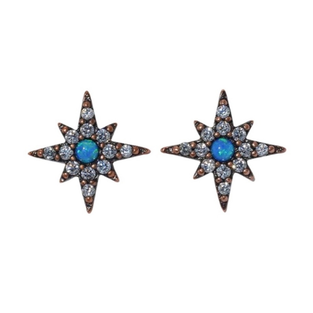 Taylor Swift Opal Eyes Birthday Earrings